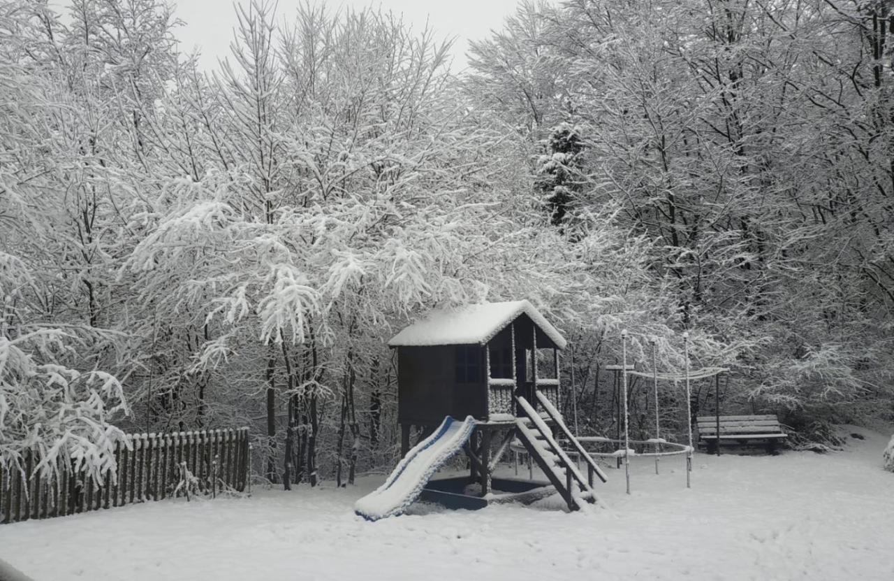 Leśniczówka WIEŻYCA i Domki Szymbark (Pomerania) Exterior foto