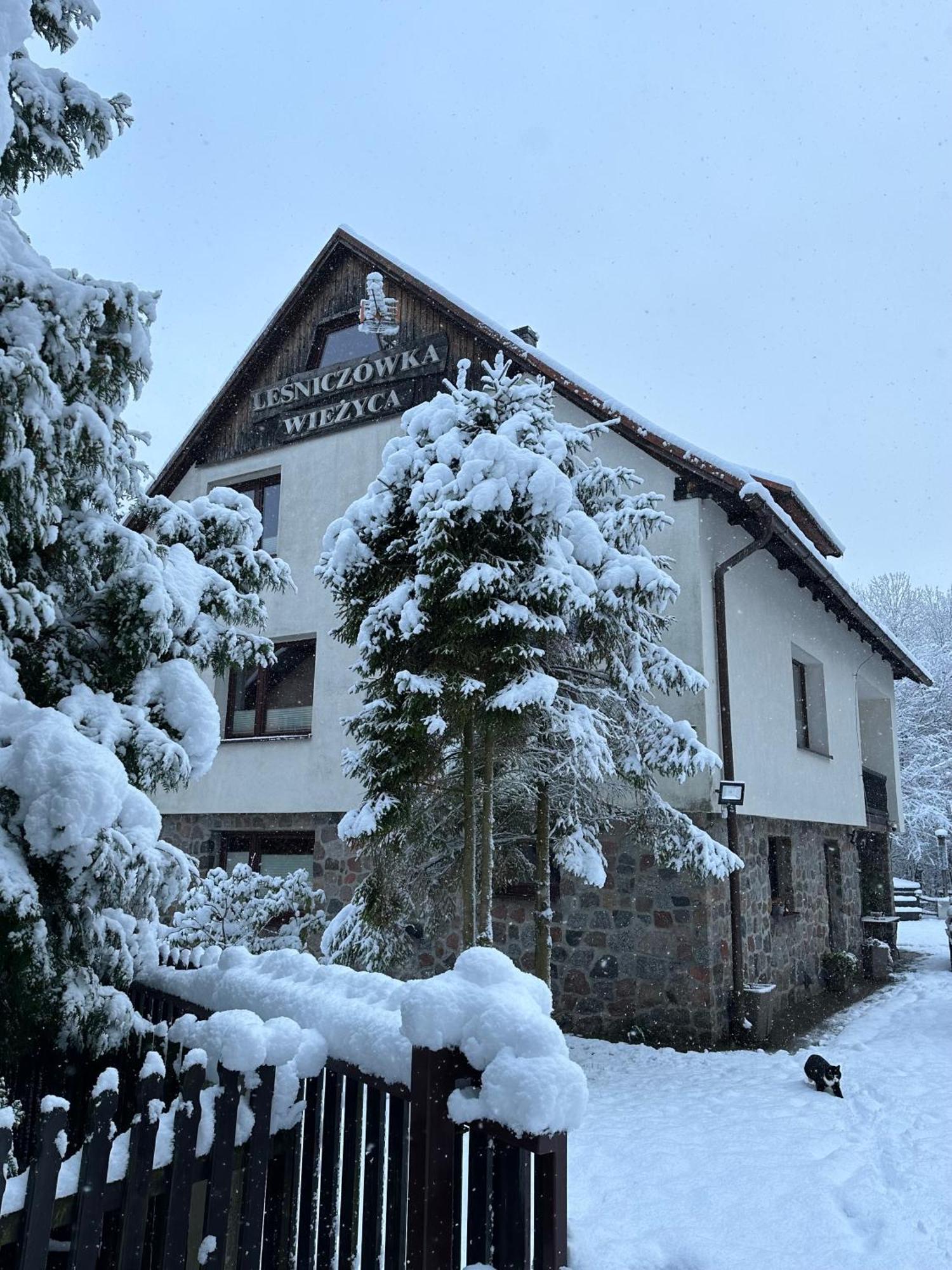 Leśniczówka WIEŻYCA i Domki Szymbark (Pomerania) Exterior foto