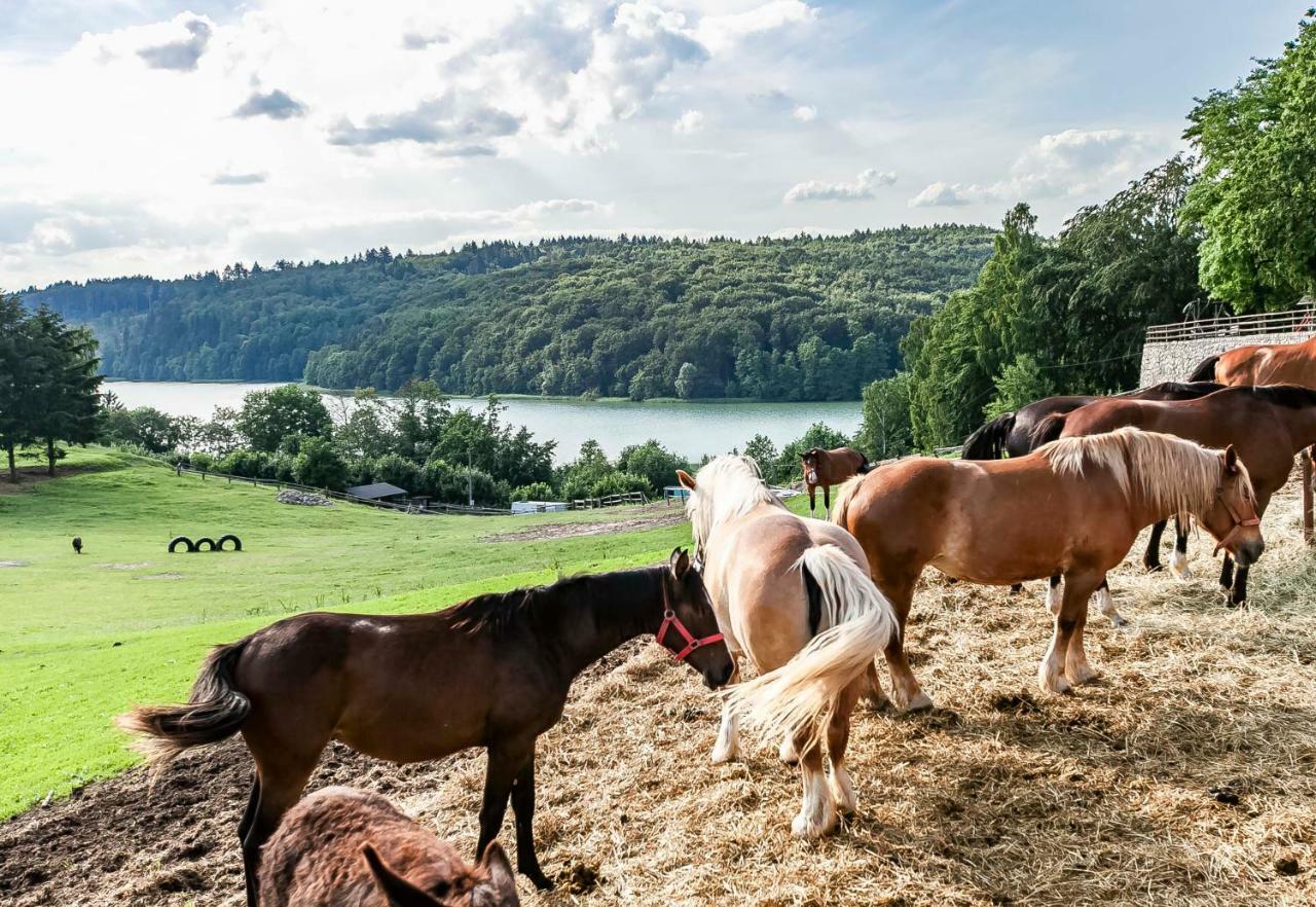 Leśniczówka WIEŻYCA i Domki Szymbark (Pomerania) Exterior foto